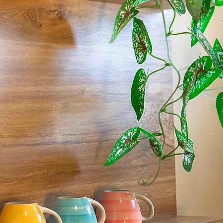 Apartmanhotel Dionysos