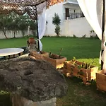 Dionysos